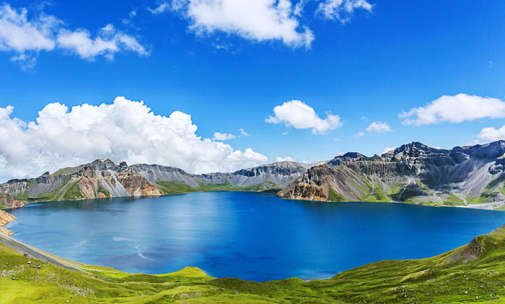 壬寅白露黑果果酒